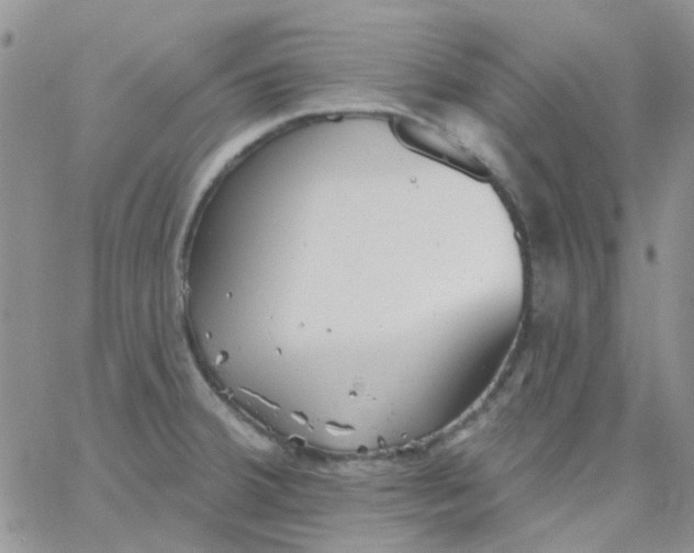 X0000062911380200602031846