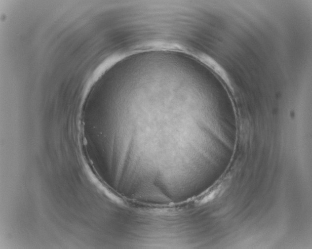 X0000062911381200602031846