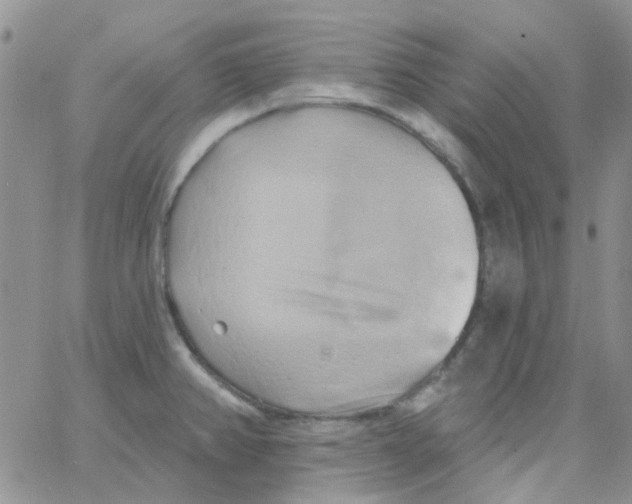 X0000062911382200602031846