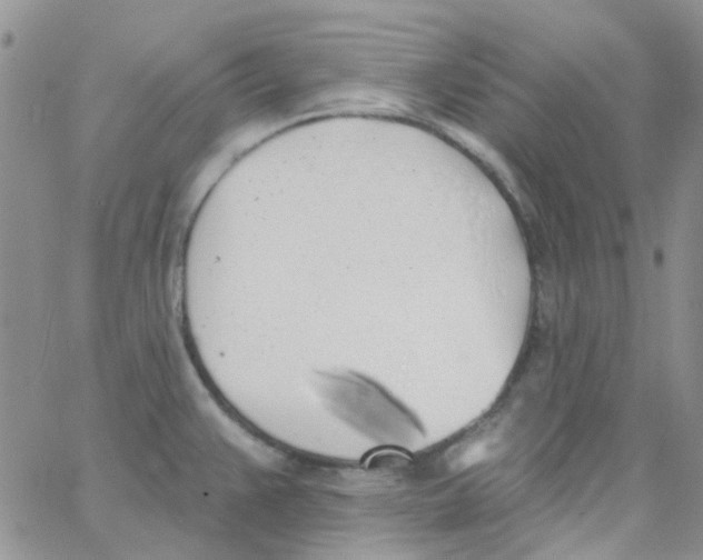 X0000062911383200602031846