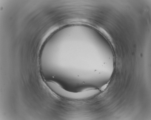 X0000062911384200602031846