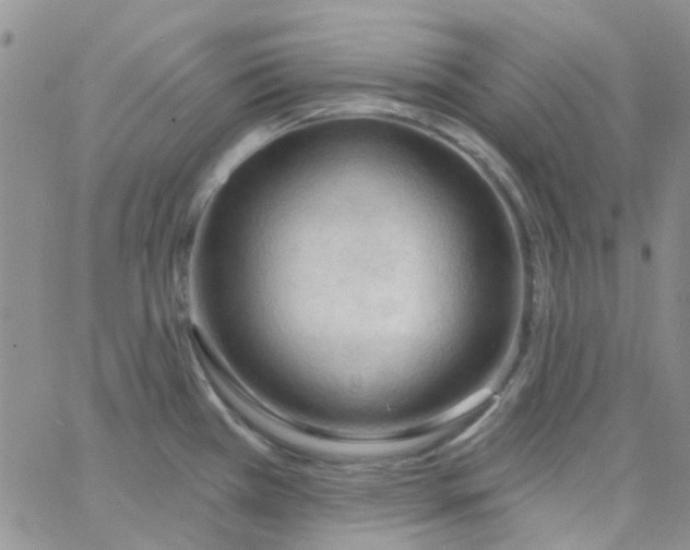 X0000062911385200602031846