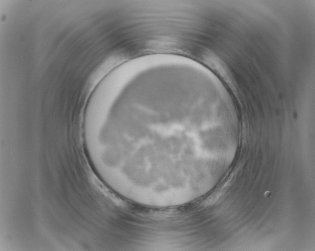 X0000062911386200602031846