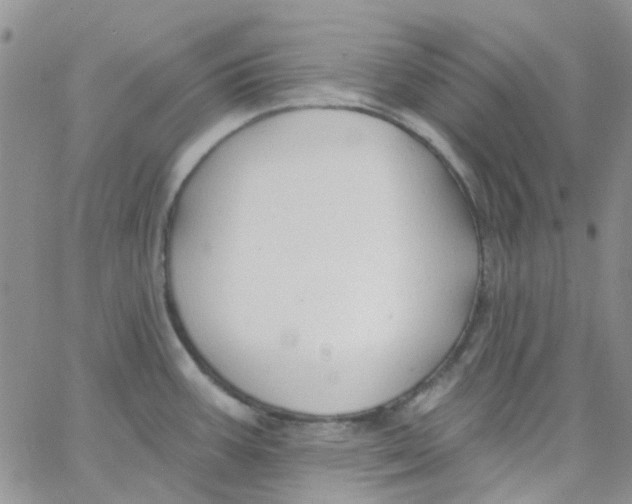 X0000062911387200602031846