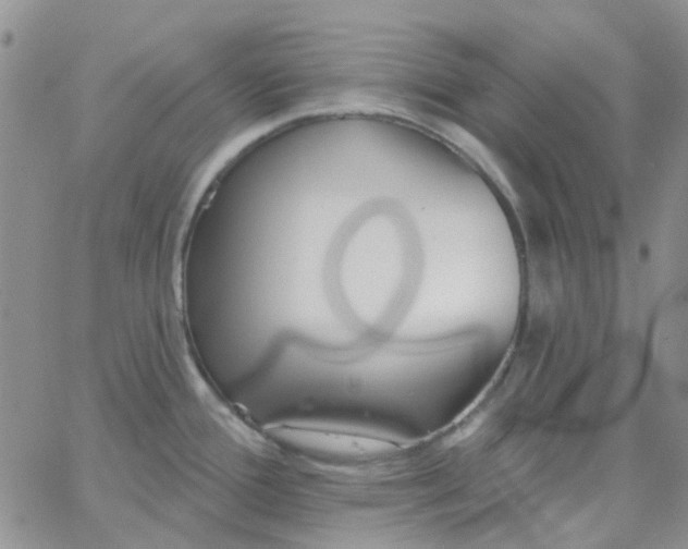 X0000062911388200602031846