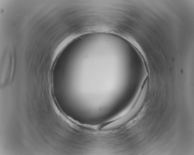 X0000062911389200602031846