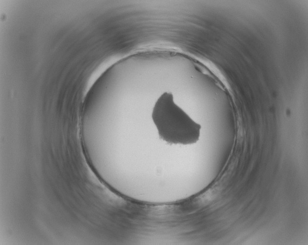 X0000062911390200602031846