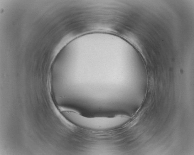 X0000062911391200602031846