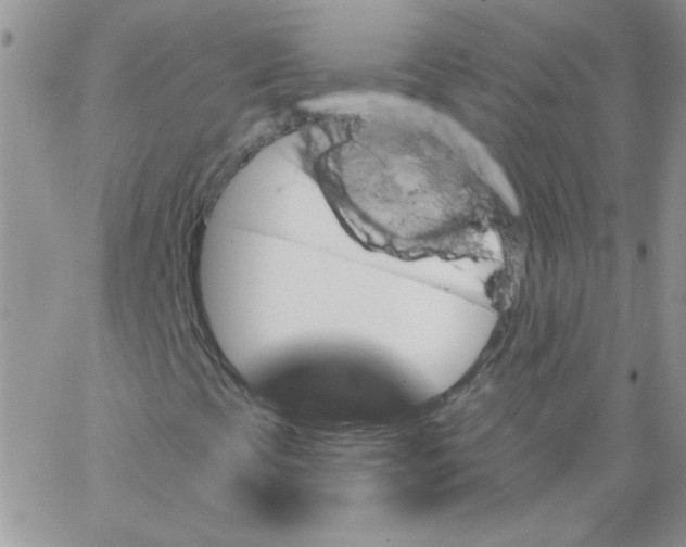 X0000062911393200602031845