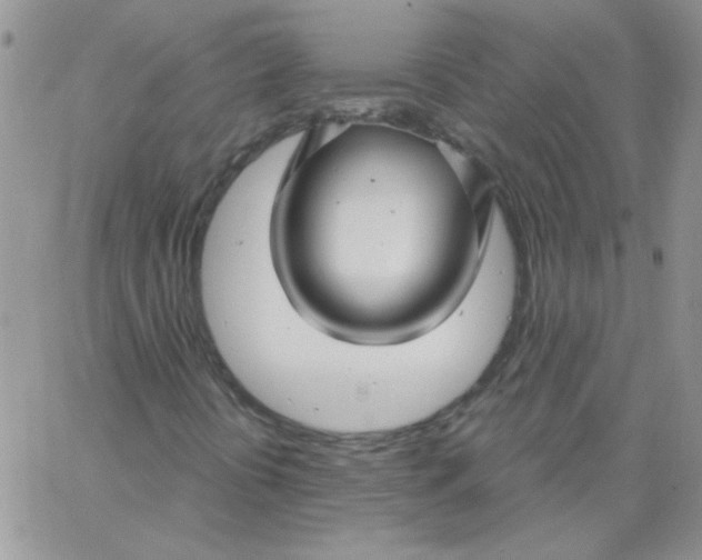 X0000062911394200602031845