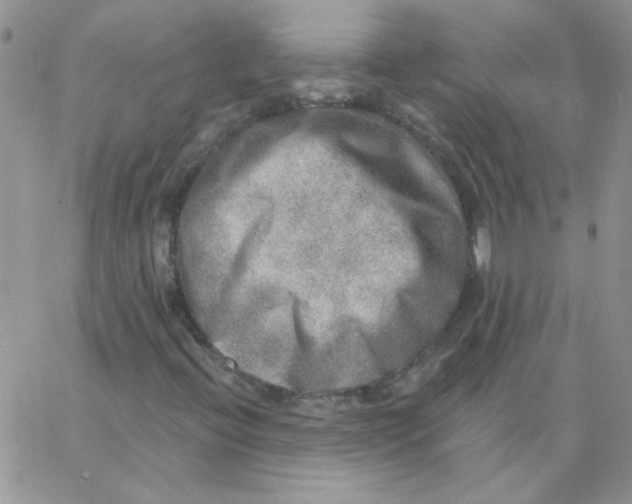 X0000062911396200602031845