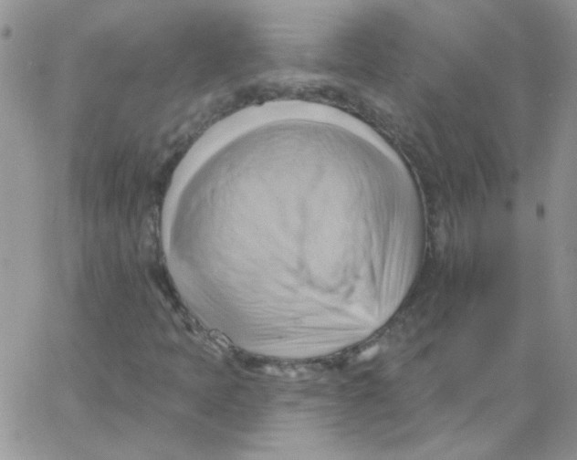 X0000062911397200602031845