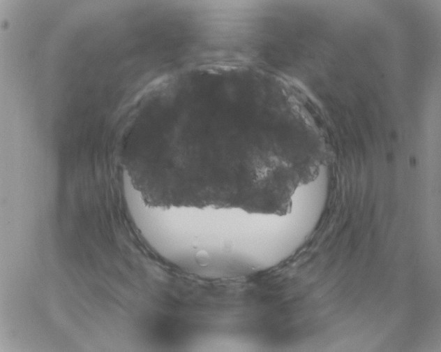 X0000062911399200602031845