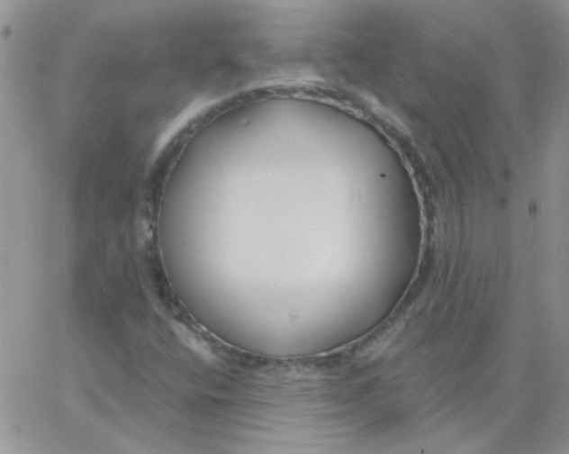 X0000062911400200602031845