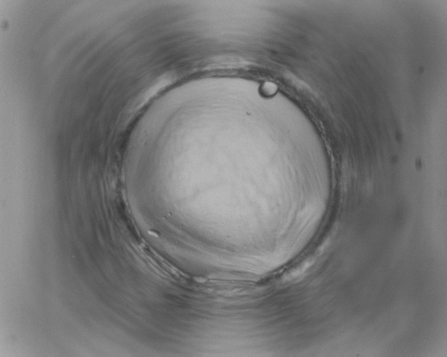 X0000062911401200602031845