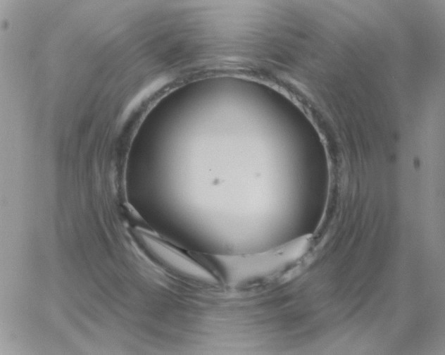 X0000062911402200602031845