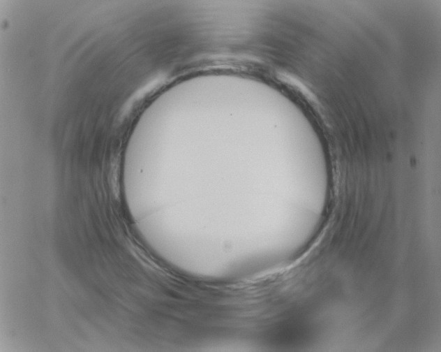 X0000062911403200602031845