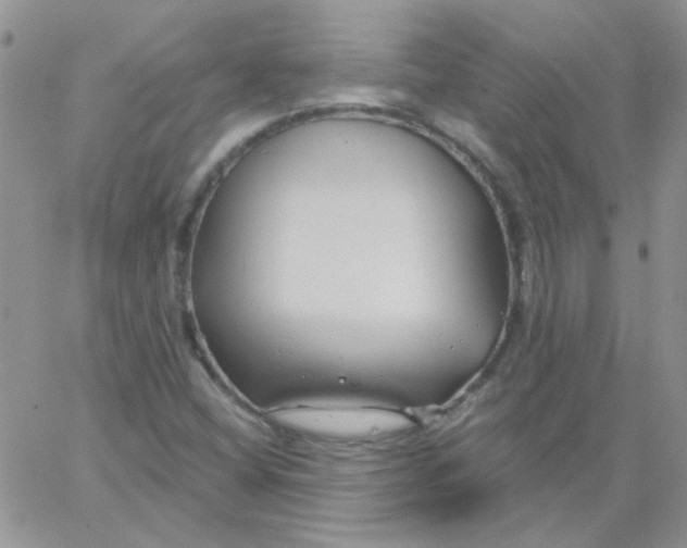 X0000062911404200602031845