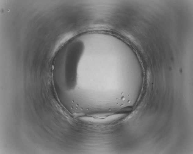 X0000062911405200602031845