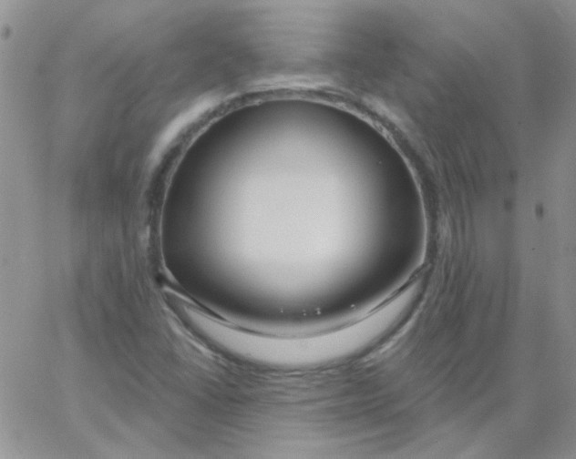 X0000062911406200602031845