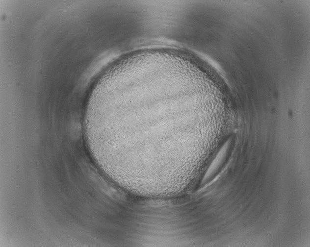 X0000062911407200602031845