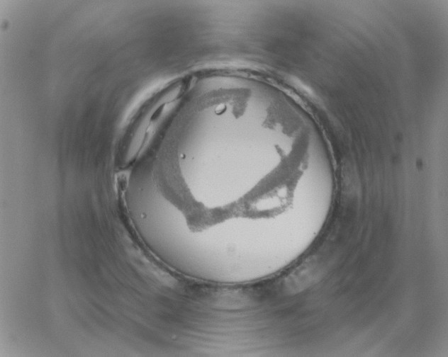 X0000062911408200602031845