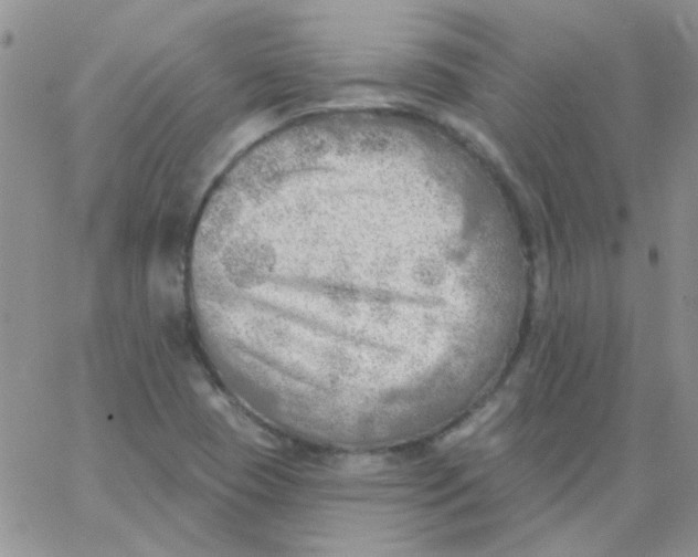 X0000062911409200602031845