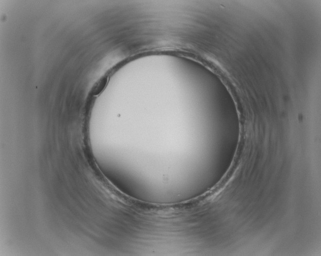 X0000062911410200602031845