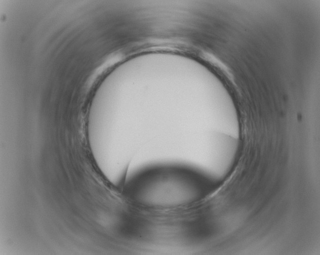 X0000062911411200602031845