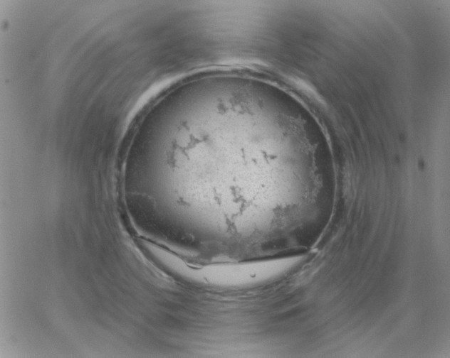 X0000062911412200602031845