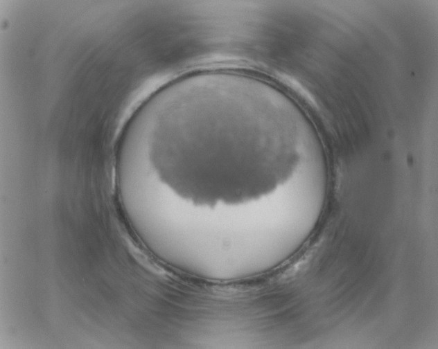 X0000062911413200602031845