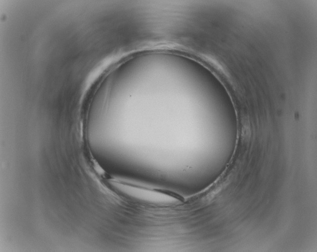 X0000062911414200602031846