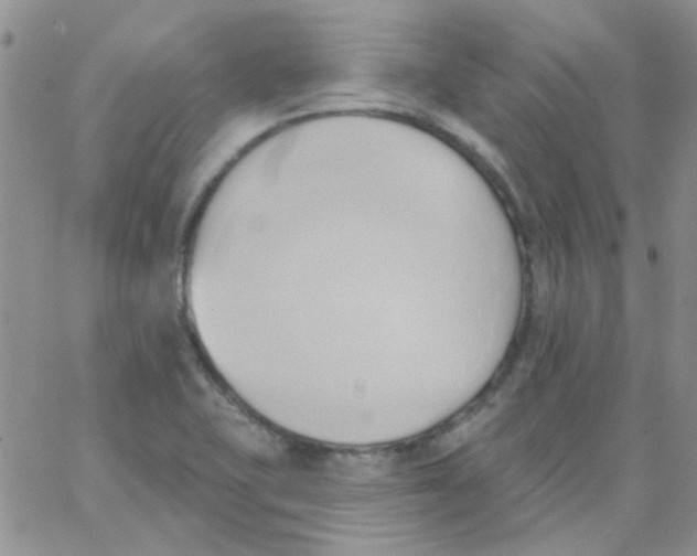 X0000062911415200602031846