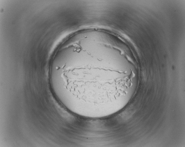 X0000062911416200602031846