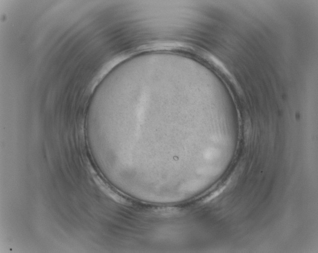 X0000062911417200602031846