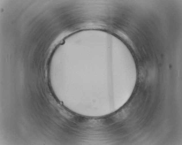 X0000062911419200602031846