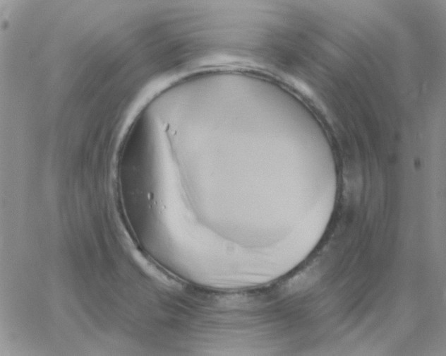 X0000062911421200602031846