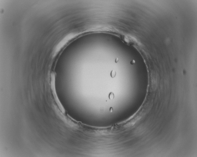 X0000062911422200602031846