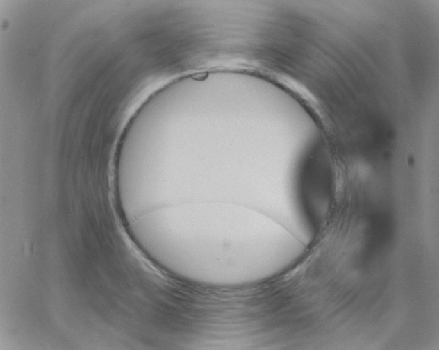 X0000062911423200602031846