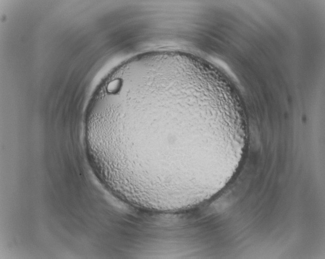 X0000062911424200602031846