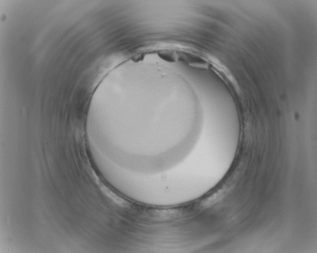 X0000062911425200602031846