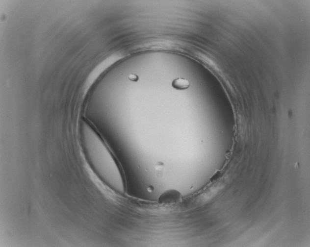 X0000062911426200602031846