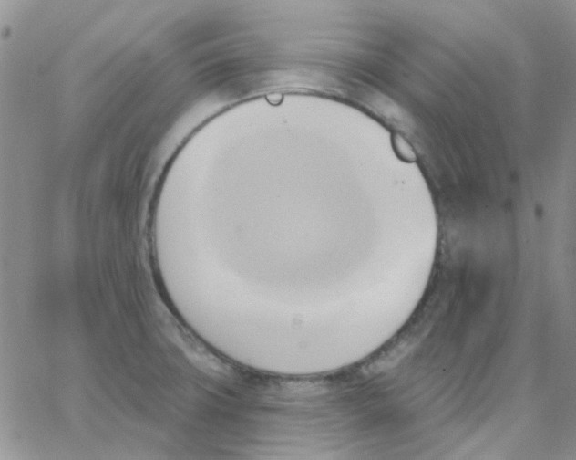 X0000062911427200602031846