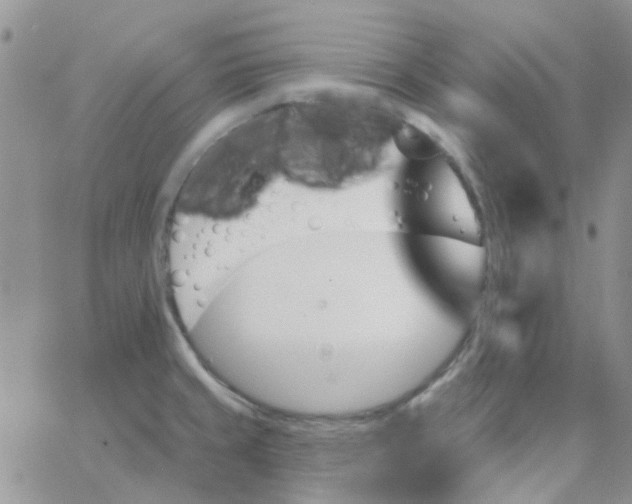 X0000062911429200602031846