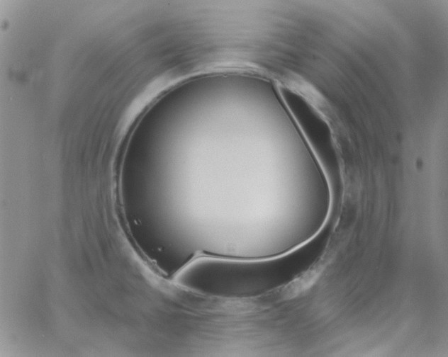 X0000062911430200602031846