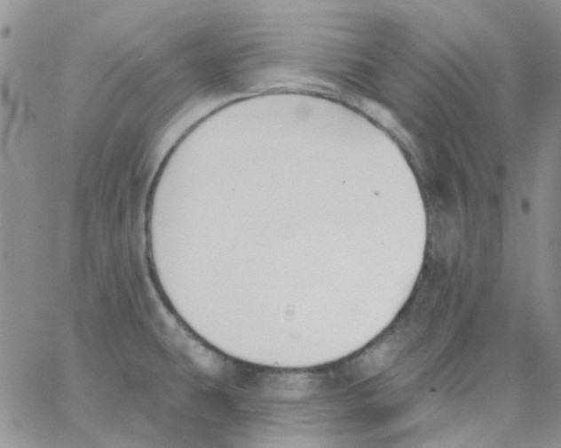 X0000062911431200602031846