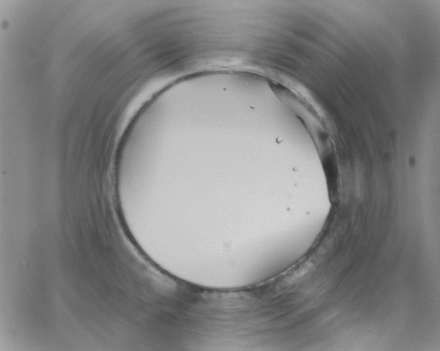 X0000062911432200602031846