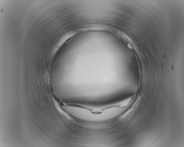 X0000062911433200602031846