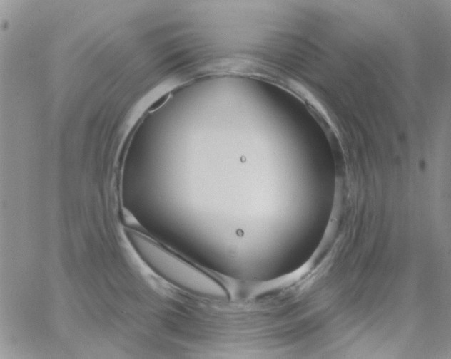 X0000062911434200602031846