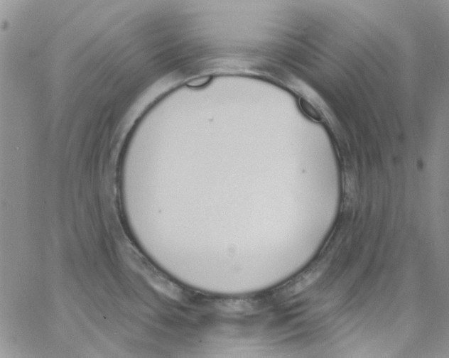 X0000062911435200602031846